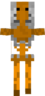 Space skeleton