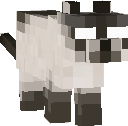 dsfaf