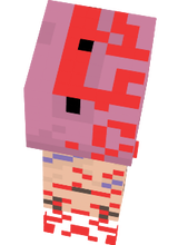 Shnel