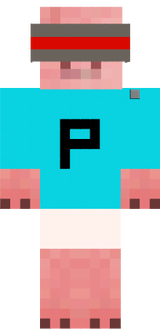 CicloPig