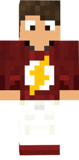 lugin flash