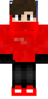 xXProEnndermanXx