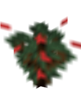 sapling spruce