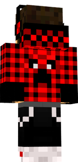 СКИН