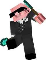 Pig spy