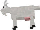 Cabra
