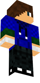 skin