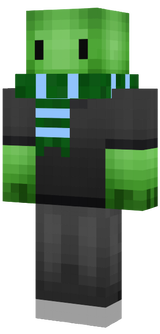 The Turtle Gamer Skin Winter 1