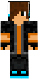 skin