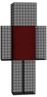 torso