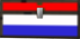 chest