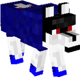 saske