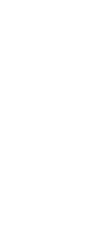 Blank White