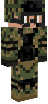 gamemode1008
