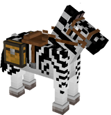  horse skeleton