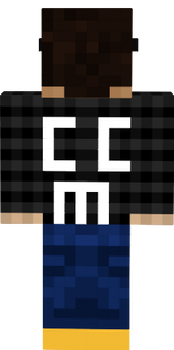gsefs