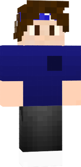 TaRa_NiS