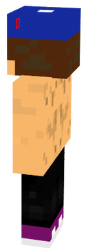 blindao gamer