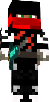 Ninja