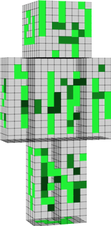 Bacteria