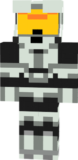 skin2