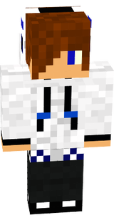 hockgostozo