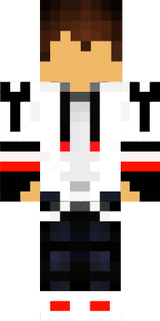 intro minecraft#1