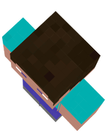 steve
