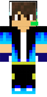 skin