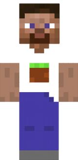 Steve