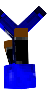 ninja