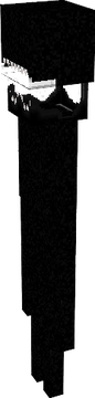 endymanz