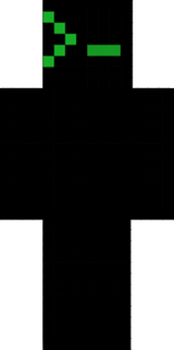 bash 2313