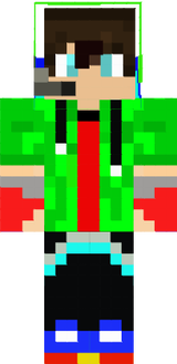 Skin