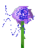 allium.png