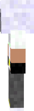 assasssin minecraft skin
