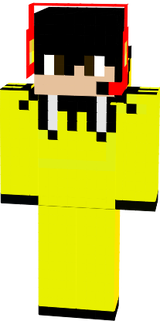 pichu 2016