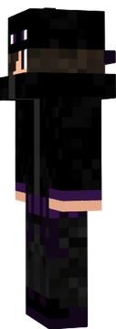 Ender Spy