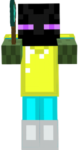 focussteve
