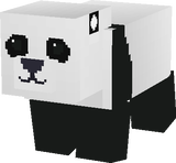 A Panda!?
