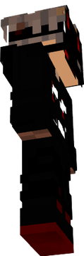 dsaw