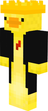 Enten skin