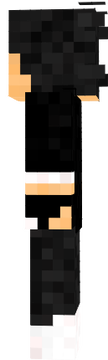 RayconSD