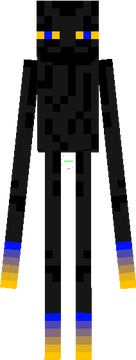 adopting enderman BEACH