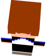 New Skin 2.0