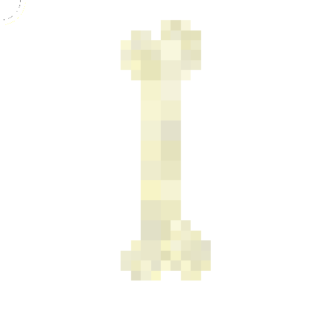 Preview of texture: Bone