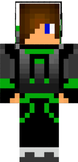 skin