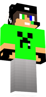 skin
