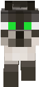 gatinho.png