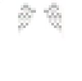 Asa De Anjo